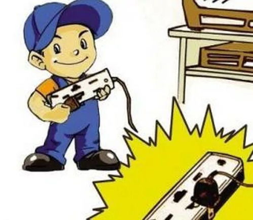 小學(xué)生應(yīng)該掌握的安全知識