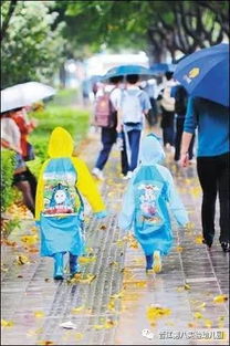 小學雨天交通安全知識