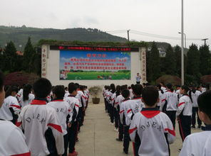 清明祭祖安全知識教案