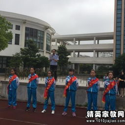 小學(xué)交通安全知識(shí)發(fā)言稿