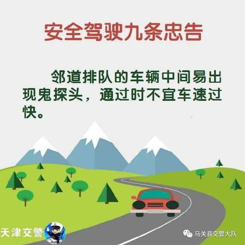 有關開車安全的知識