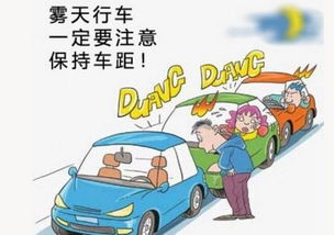 霧霾天氣安全行車知識