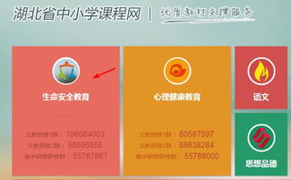 湖北省小學(xué)生生命安全知識