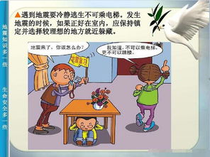 地震安全知識教育