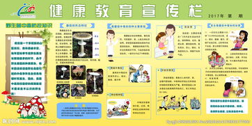 幼兒不吃野生菌安全知識