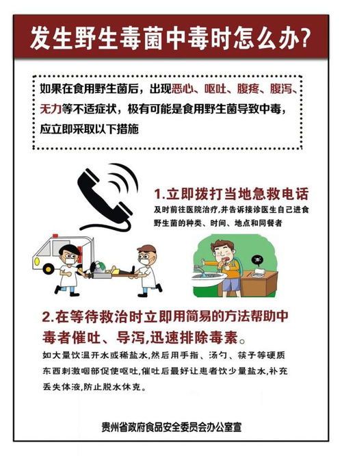 食品安全知識食用野生菌