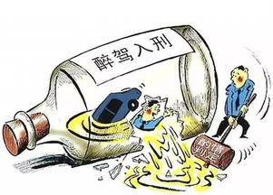 酒駕安全知識(shí)