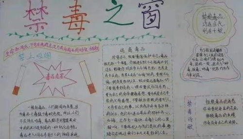學校禁毒知識安全教育手抄報大全