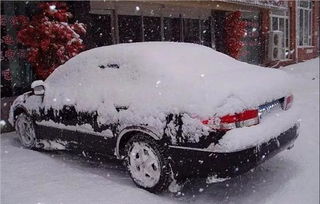 冬季除雪防滑安全知識