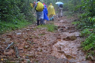 關(guān)于防風(fēng)防雷防雨安全知識