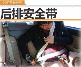 駕考安全帶知識