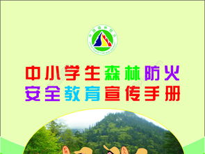 小學(xué)生森林安全防火知識(shí)條件