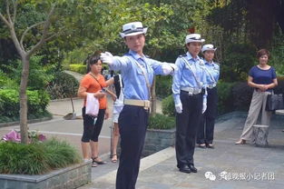 關(guān)于交通安全知識(shí)報(bào)告有感