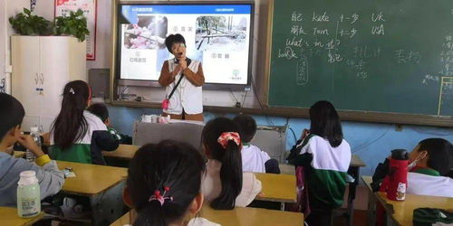 小學防災害安全知識教育