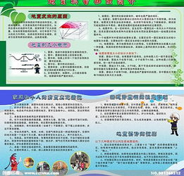 地震科普與安全知識(shí)故事作文