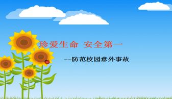 安全知識說課ppt