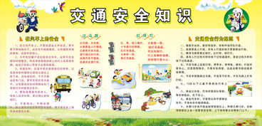 文明交通安全知識(shí)培訓(xùn)