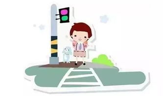 交通安全知識考試2