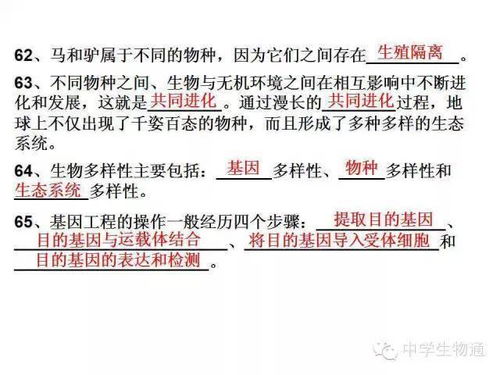 軋鋼安全基礎(chǔ)知識三個確認是什么