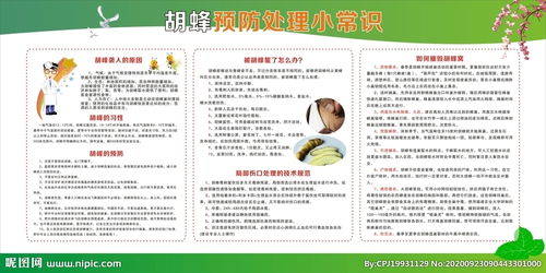 安全知識(shí)被黃蜂蜇傷