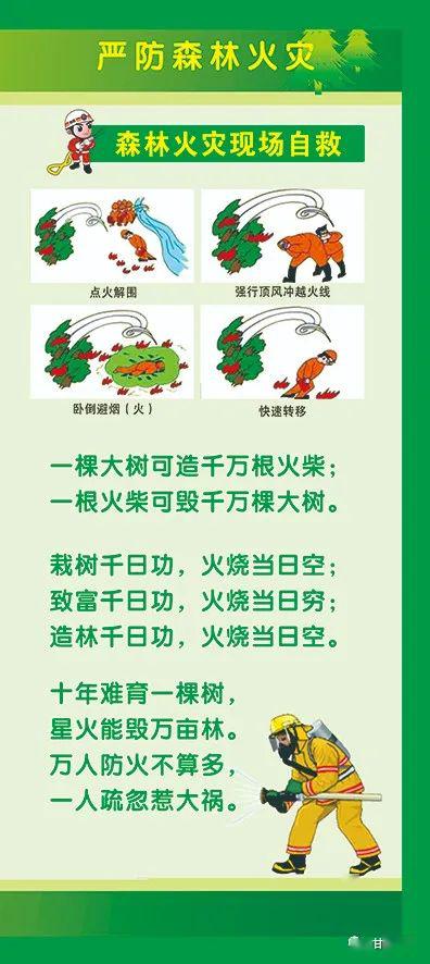 森林防火安全知識(shí)考試