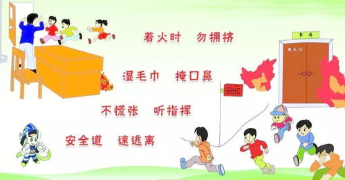 幼兒安全戶外活動(dòng)知識(shí)