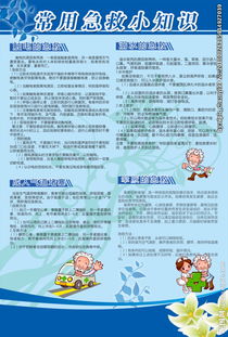 安全急救知識的作文