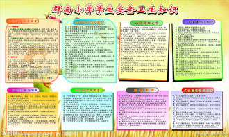 小學(xué)生用眼衛(wèi)生安全知識