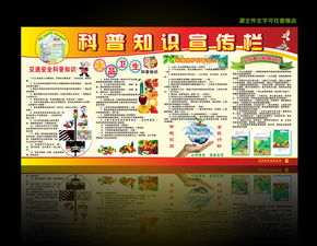 交通安全科普宣傳知識(shí)