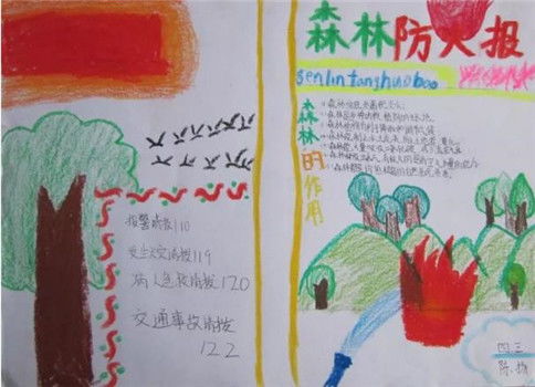 森林防火安全知識五級作文100字