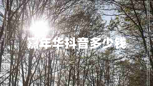 嘉年華抖音多少錢(qián)