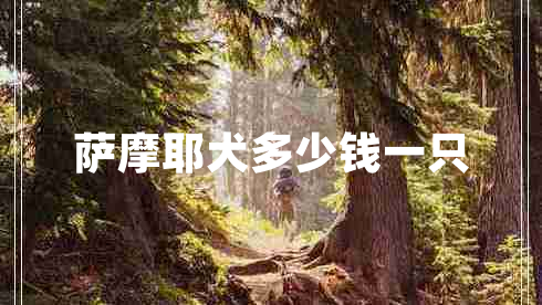 薩摩耶犬多少錢一只