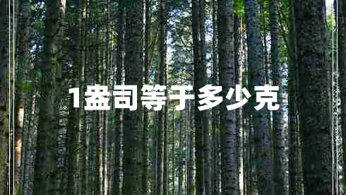 1盎司等于多少克