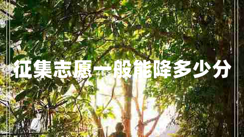 征集志愿一般能降多少分