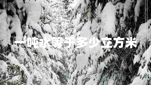 一噸水等于多少立方米