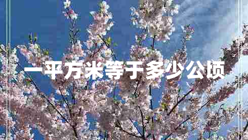 一平方米等于多少公頃