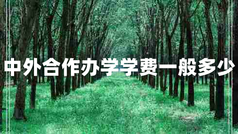 中外合作辦學(xué)學(xué)費一般多少
