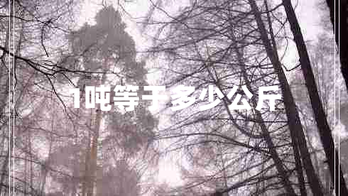 1噸等于多少公斤