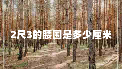 2尺3的腰圍是多少厘米