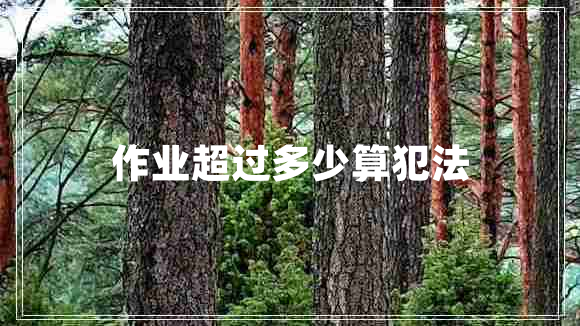 作業(yè)超過多少算犯法