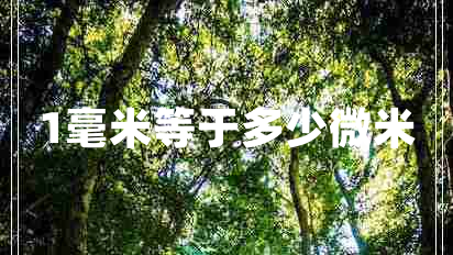 1毫米等于多少微米