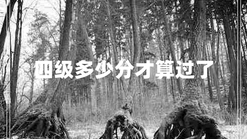 四級多少分才算過了