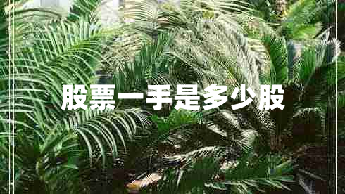 股票一手是多少股