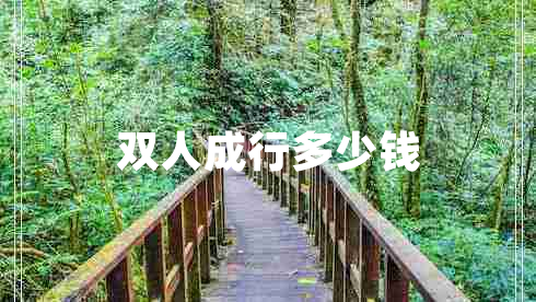 雙人成行多少錢