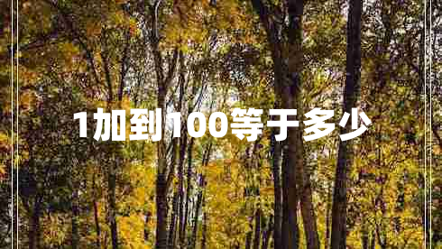 1加到100等于多少