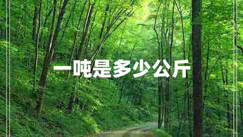 一噸是多少公斤