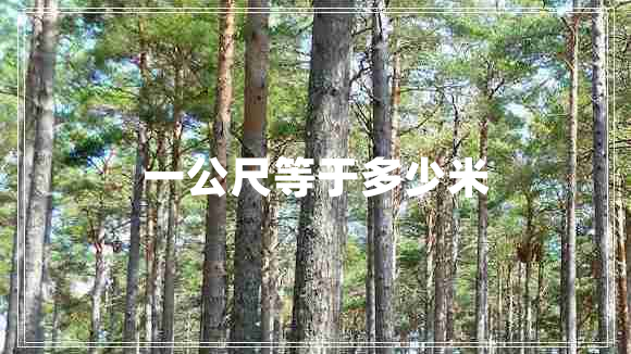 一公尺等于多少米