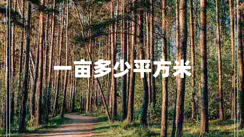 一畝多少平方米