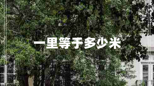 一里等于多少米