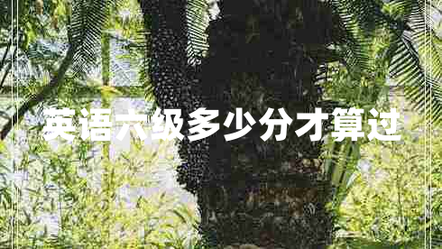 英語六級多少分才算過